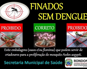 finados-sem-dengue.jpg