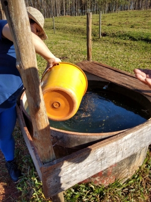 Saúde De Rondon Realiza Trabalho De Controle Biológico Com Utilização De Peixes