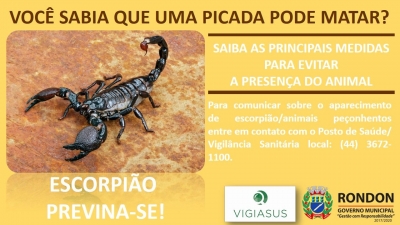 Escorpião: Previna-se!