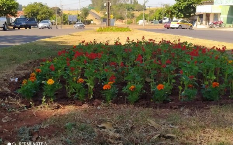 DIVISÃO DE MEIO AMBIENTE INTENSIFICA SERVIÇOS DE JARDINAGEM E LIMPEZA DE PRAÇAS E JARDINS.