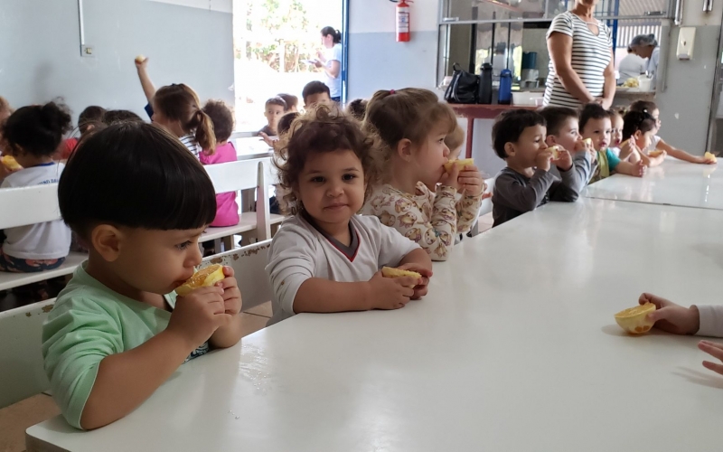 Cmei Menino Deus: Criatividade Na Cozinha Garante Merenda Nutritiva E Saborosa
