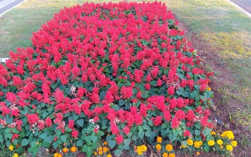 RONDON – UMA CIDADE QUE ESCOLHEMOS PARA VIVER