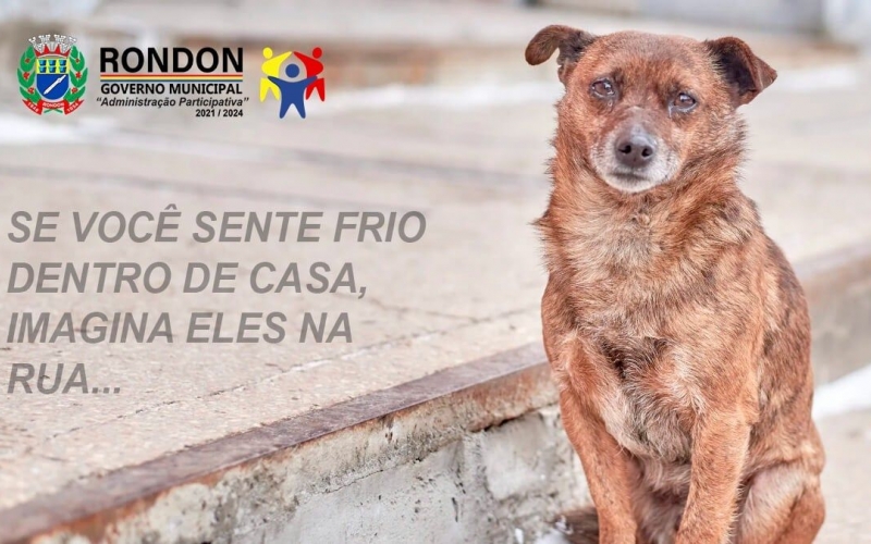 CUIDAR DOS ANIMAIS É UM ATO DE AMOR!