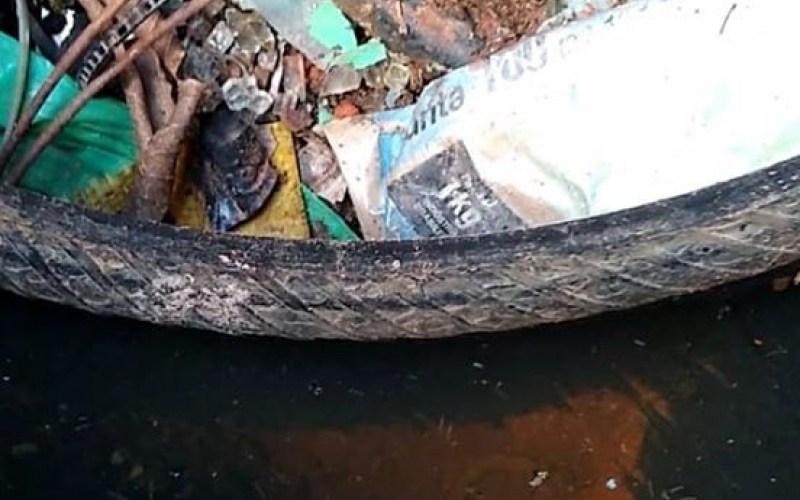 Acúmulo De Lixo Irregular Causa Risco De Infestação De Dengue Em Rondon