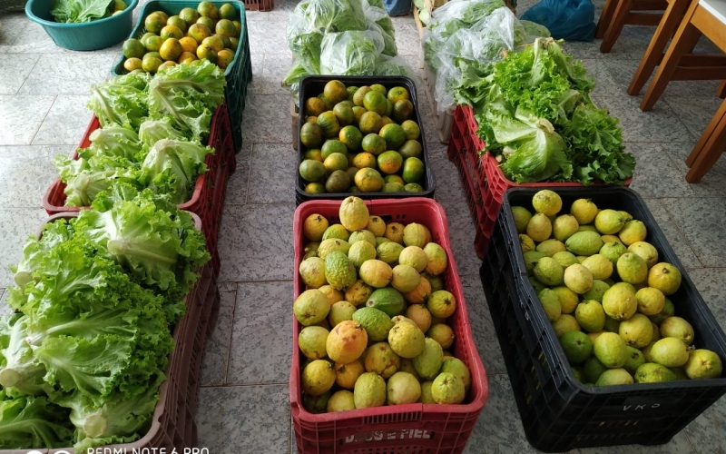 Agricultura Familiar Fornece Alimentos Para Merenda Escolar Em Rondon