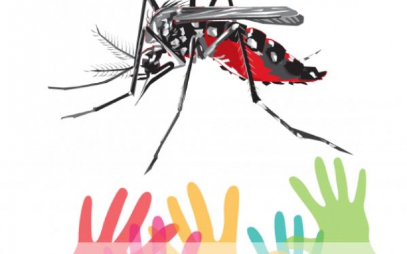 Dengue Mata, e você pode ser o próximo!