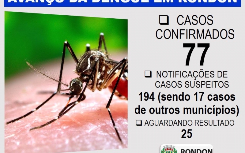 Avanço da dengue em Rondon