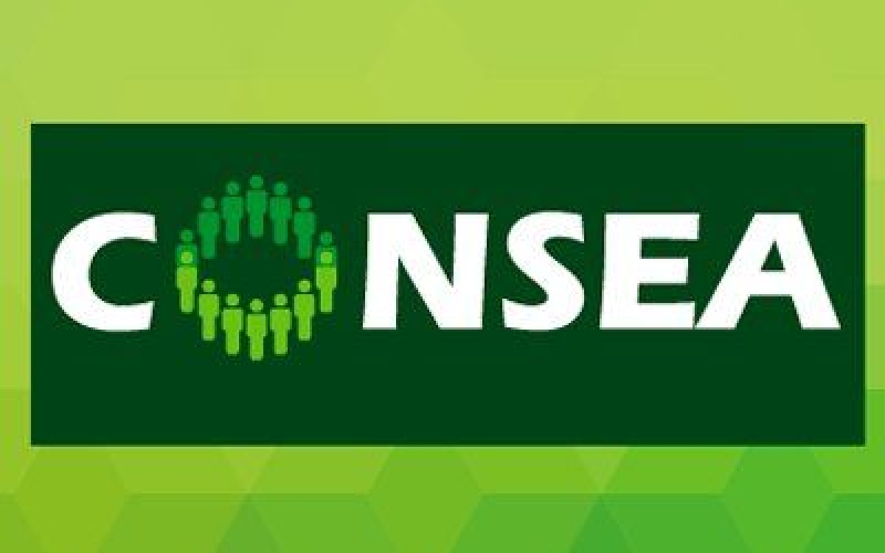 Nova Presidência Toma Posse do CONSEA