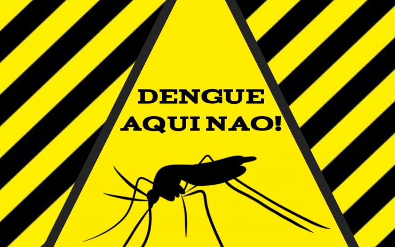 Limpeza ainda é o melhor jeito de evitar o mosquito da dengue, zika e outras doenças