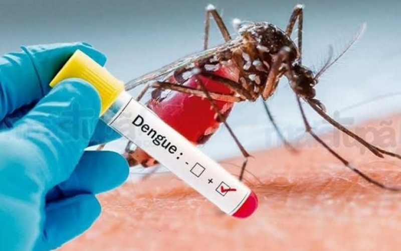 Secretaria Municipal de Saúde confirma 1° caso de Dengue em Rondon