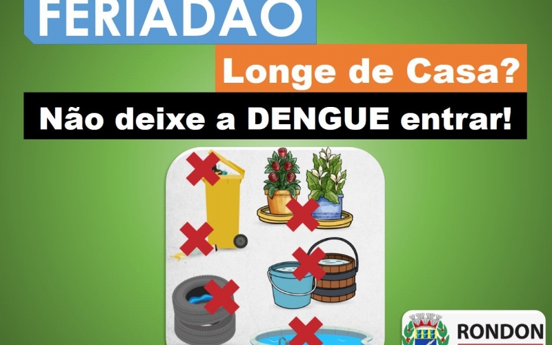 Vai viajar? Proteja sua casa do mosquito da dengue