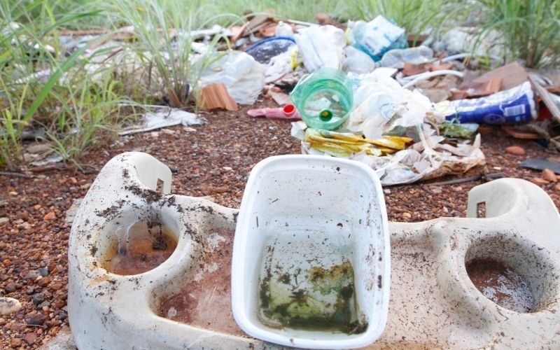 Rondon registra números alarmantes de larvas nas residências