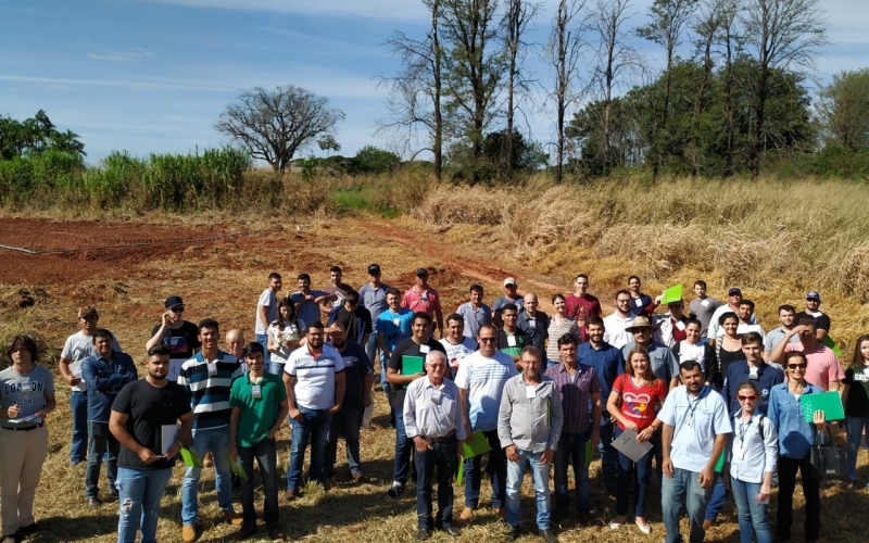 Reunião Técnica Sobre A Cultura Da Mandioca No Câmpus Do Arenito/Uem
