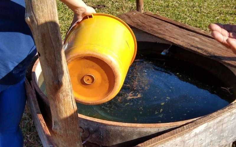 Saúde De Rondon Realiza Trabalho De Controle Biológico Com Utilização De Peixes