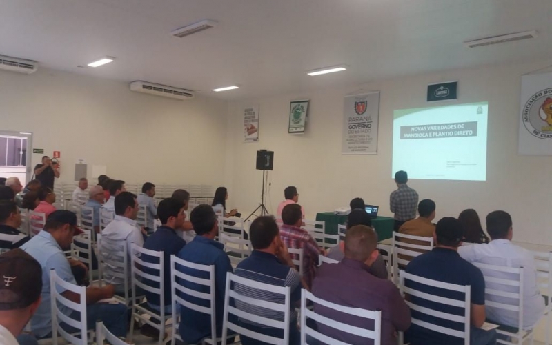 XV Encontro Regional dos Produtores de Mandioca da Amenorte