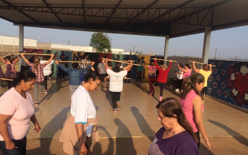 Práticas Corporais e Atividades Físicas em Promoção da Saúde dos Integrantes dos Grupos de Caminhada