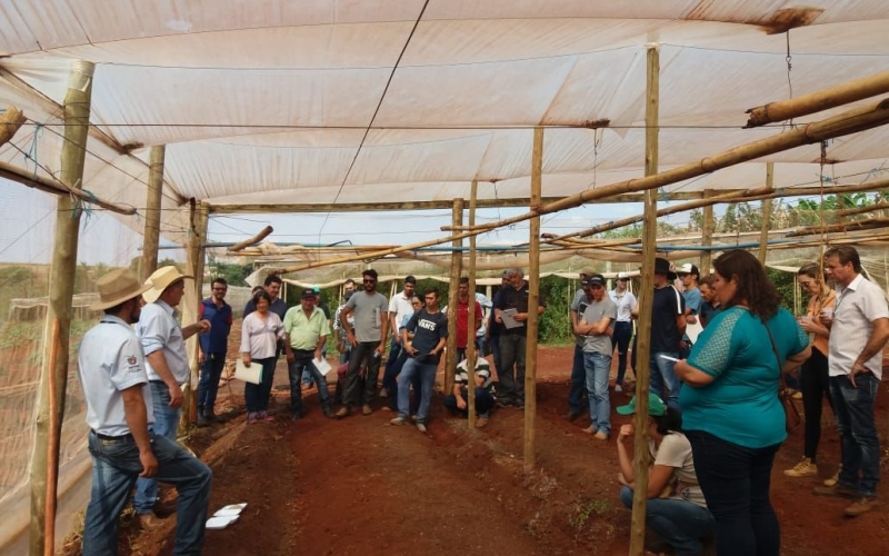 Dia De Campo – Produção Sustentável De Tomate