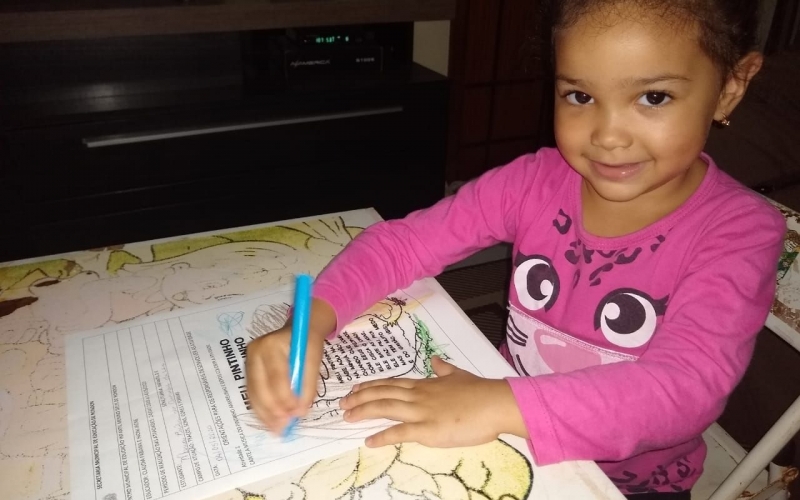 Trabalho Pedagógico dos Centros Municipais de Educação Infantil de Rondon 