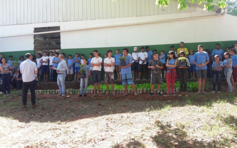 Colégio Estadual Almirante Barroso Realiza Atividades Na Semana Da Árvore