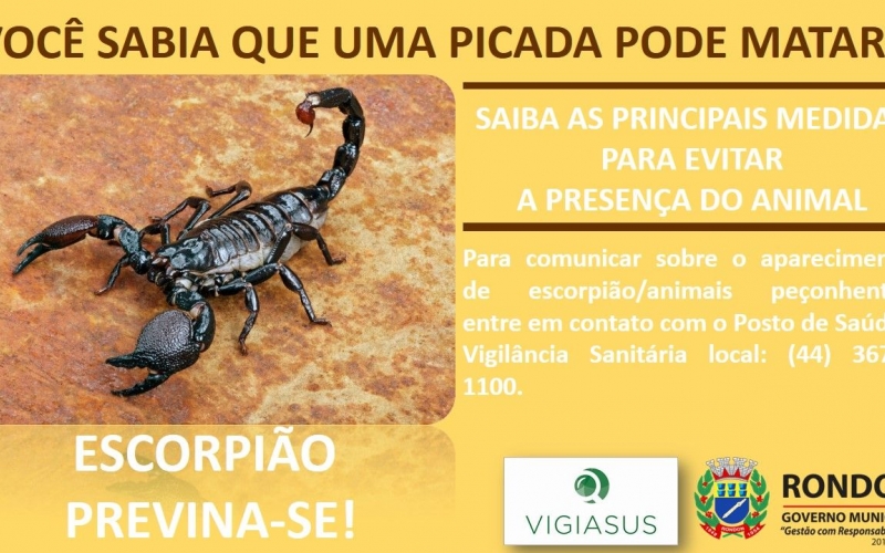 Escorpião: Previna-se!