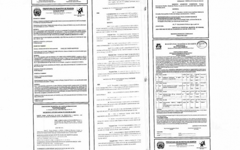 Publicação Decreto Nomeia Sueli Scoqui